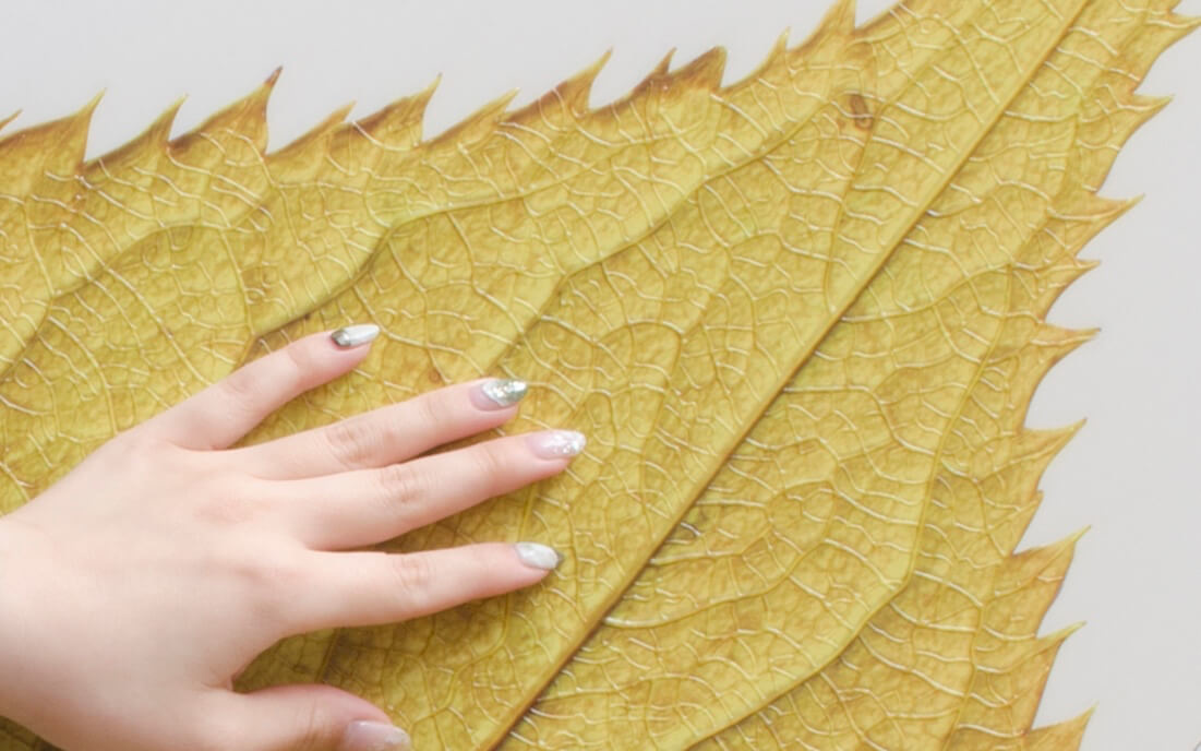 「4features」と名付けられたこの巨大な葉は日鉄日新製鋼株式会社様の開発品である「高意匠イクジェット印刷鋼板」を用いたオブジェであり、 インクジェット印刷鋼板の4つの技術的特徴を活かすことで造られています。