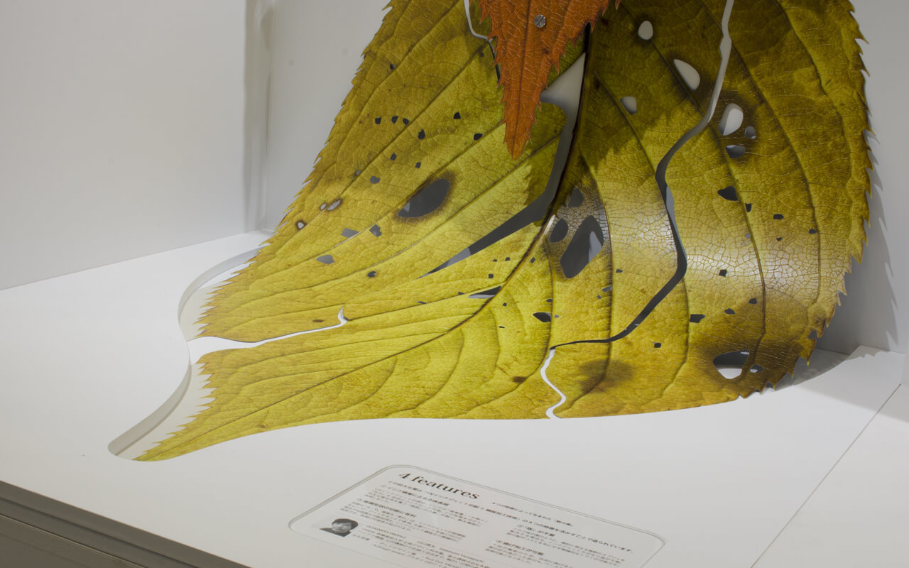 「4features」と名付けられたこの巨大な葉は日鉄日新製鋼株式会社様の開発品である「高意匠イクジェット印刷鋼板」を用いたオブジェであり、 インクジェット印刷鋼板の4つの技術的特徴を活かすことで造られています。