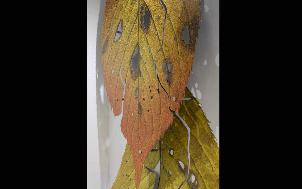 「4features」と名付けられたこの巨大な葉は日鉄日新製鋼株式会社様の開発品である「高意匠イクジェット印刷鋼板」を用いたオブジェであり、 インクジェット印刷鋼板の4つの技術的特徴を活かすことで造られています。